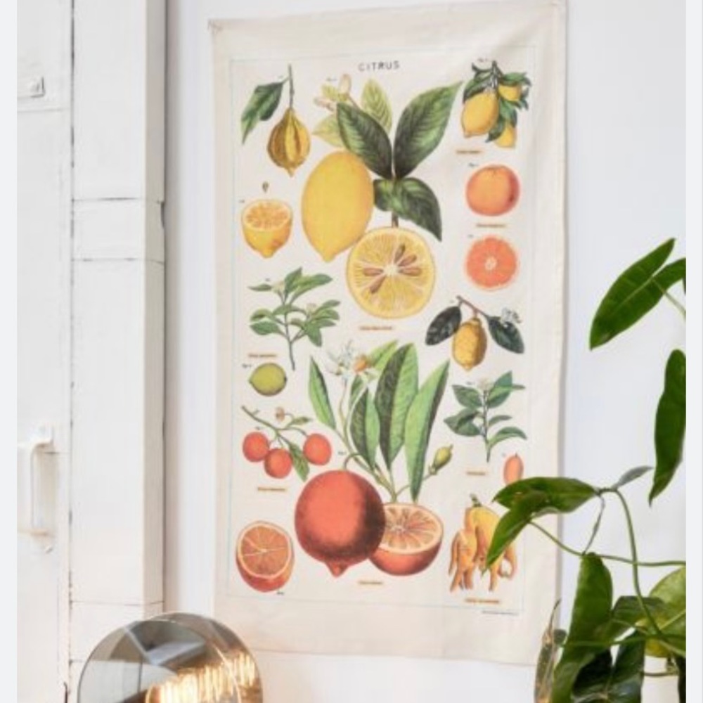 NWT urban outfitters citrus tapestry